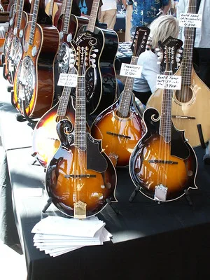 beginner mandolin books